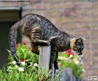 Загруженные Кот на заборе готовы прыгать